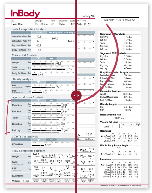 Body Composition Analysis - InBody Assessment