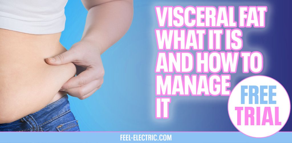 Visceral Fat What it is and how to manage it Feel Electric EMS