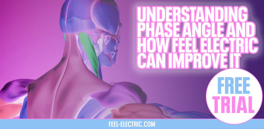 Understanding Phase Angle and How Feel Electric Can Improve It Feel