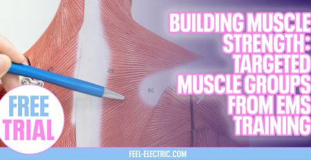 Muscle Building Strength In Muscle Groups Targeted Impulses Exercise EMS Training Feel Electric